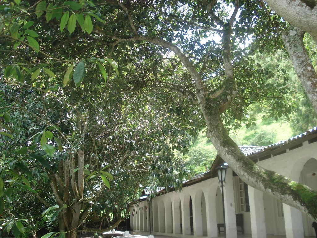 Hosteria La Eterna Primavera Huigra Exterior foto